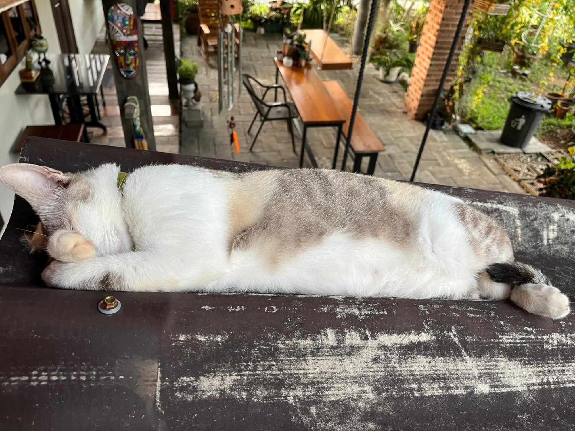ครูหนูบ้านพัก แหลมงอบ Krunou Baanpak Trat Buitenkant foto