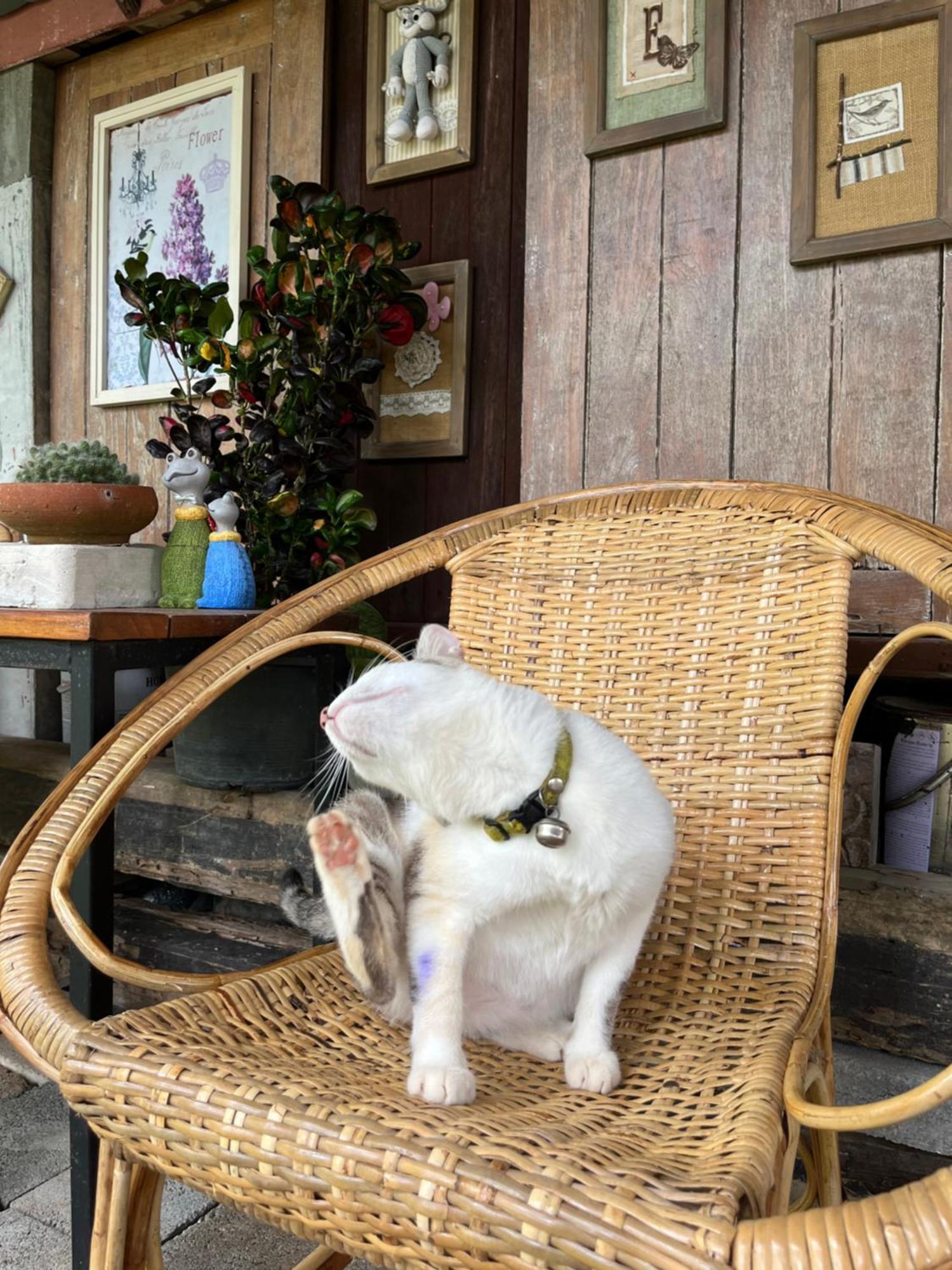 ครูหนูบ้านพัก แหลมงอบ Krunou Baanpak Trat Buitenkant foto