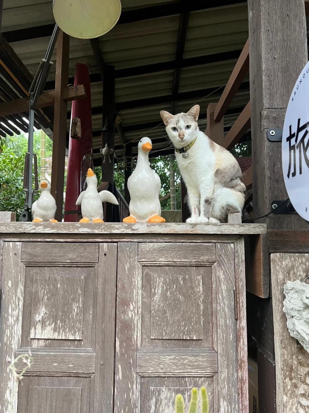 ครูหนูบ้านพัก แหลมงอบ Krunou Baanpak Trat Buitenkant foto