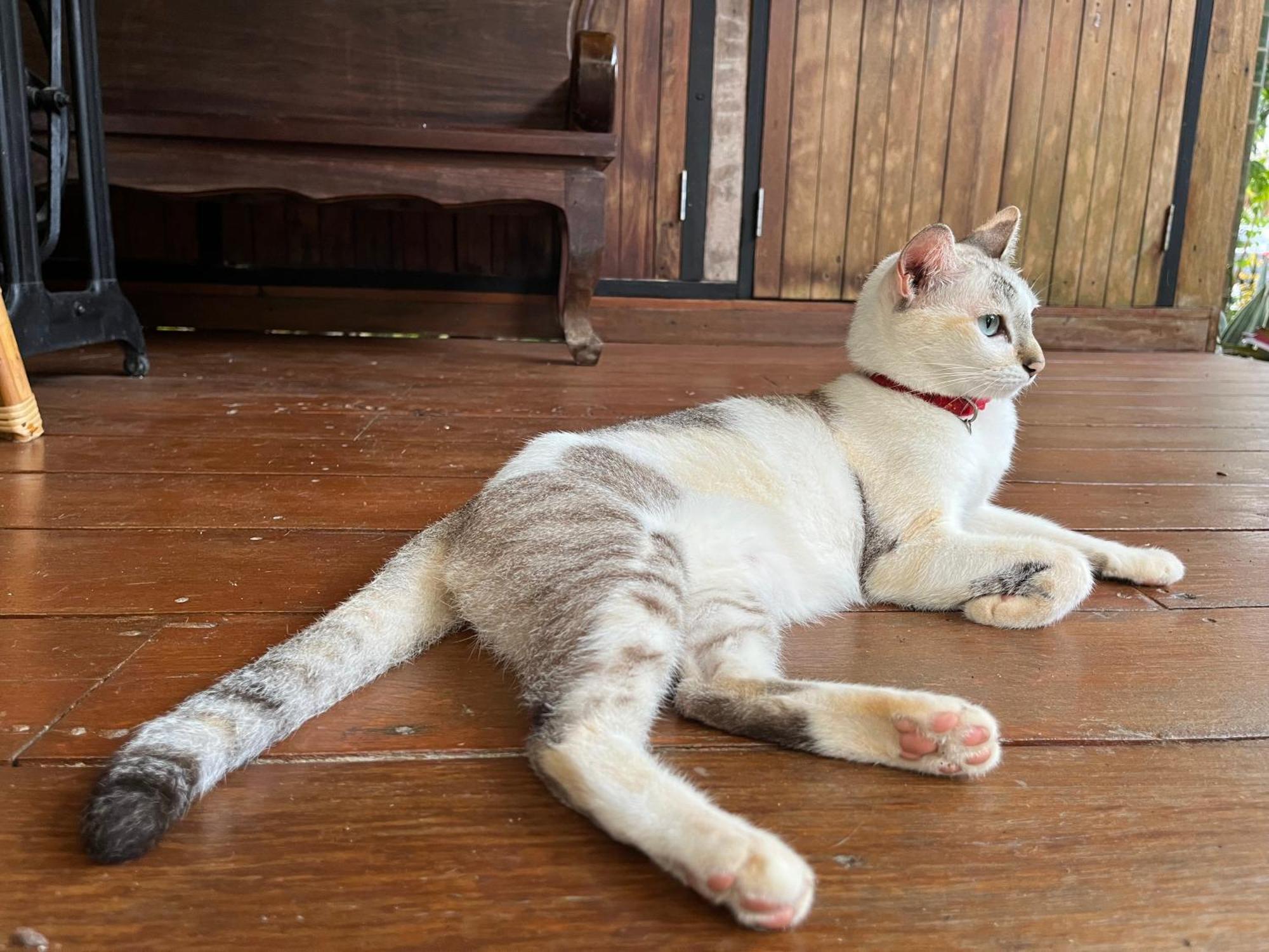 ครูหนูบ้านพัก แหลมงอบ Krunou Baanpak Trat Buitenkant foto